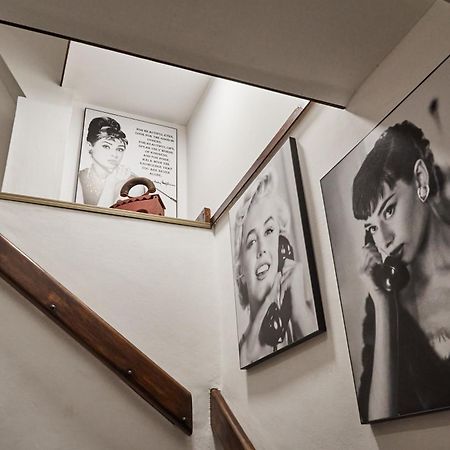 Apartament Botanik Belgrad Zewnętrze zdjęcie